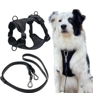 Tito's Closet large Dog Harness and Leash Set, No Pull Dog Harness, Black,